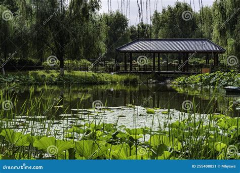  Changchunin Tianshiyuan puisto: Kiinalaista filosofiaa ja rauhaa täynnä oleva oasi!