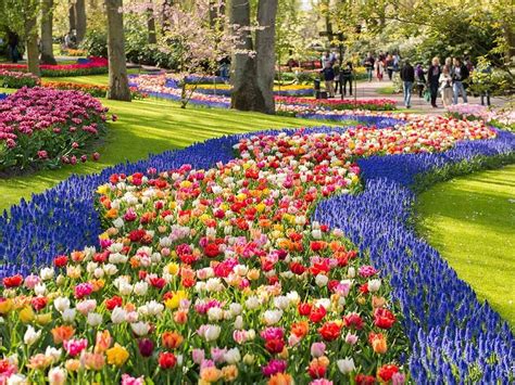 Jardin des Fleurs: Yksinkertainen kauneus ja rauhaa Vietnamin sydämessä!