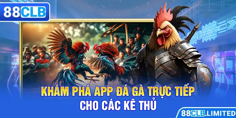 Khám phá app đá gà trực tiếp cho các kê thủ