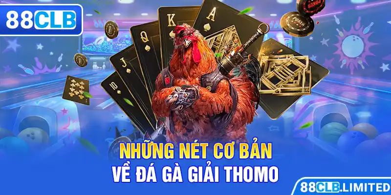 Những nét cơ bản về đá gà giải Thomo