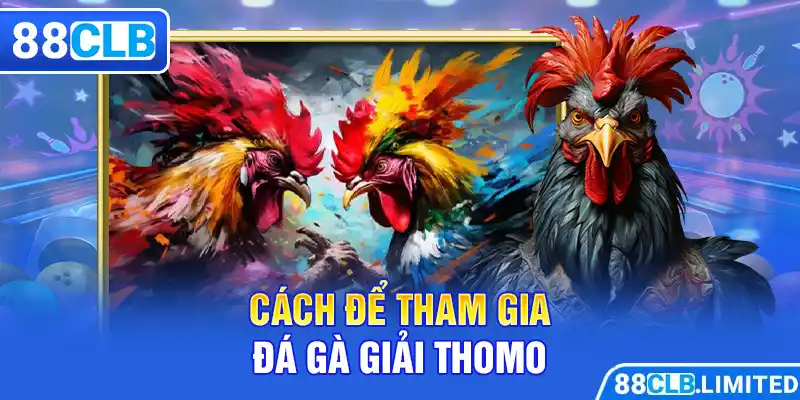 Cách để tham gia đá gà giải Thomo